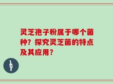 灵芝孢子粉属于哪个菌种？探究灵芝菌的特点及其应用？