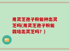 用灵芝孢子粉能种出灵芝吗(用灵芝孢子粉能栽培出灵芝吗？)