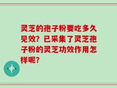 灵芝的孢子粉要吃多久见效？已采集了灵芝孢子粉的灵芝功效作用怎样呢？