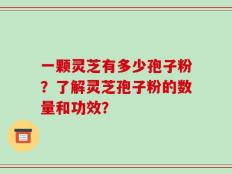 一颗灵芝有多少孢子粉？了解灵芝孢子粉的数量和功效？