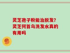 灵芝孢子粉能治脱发？灵芝何首乌洗发水真的有用吗