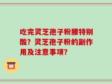 吃完灵芝孢子粉腰特别酸？灵芝孢子粉的副作用及注意事项？