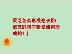灵芝怎么形成孢子粉(灵芝的孢子粉是如何形成的？)