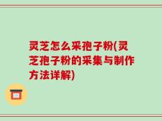 灵芝怎么采孢子粉(灵芝孢子粉的采集与制作方法详解)