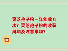 灵芝孢子粉一年能收几次？灵芝孢子粉的收获周期及注意事项？