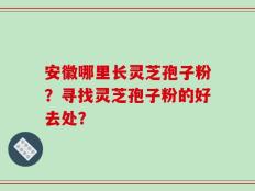 安徽哪里长灵芝孢子粉？寻找灵芝孢子粉的好去处？