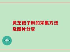 灵芝孢子粉的采集方法及图片分享