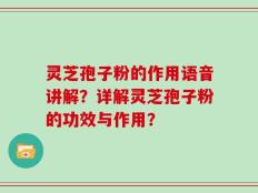 灵芝孢子粉的作用语音讲解？详解灵芝孢子粉的功效与作用？