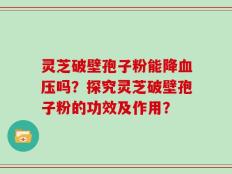 灵芝破壁孢子粉能降血压吗？探究灵芝破壁孢子粉的功效及作用？