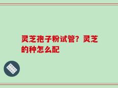 灵芝孢子粉试管？灵芝的种怎么配