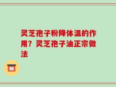 灵芝孢子粉降体温的作用？灵芝孢子油正宗做法