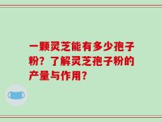一颗灵芝能有多少孢子粉？了解灵芝孢子粉的产量与作用？