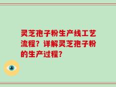 灵芝孢子粉生产线工艺流程？详解灵芝孢子粉的生产过程？