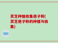 灵芝种植收集孢子粉(灵芝孢子粉的种植与收集)