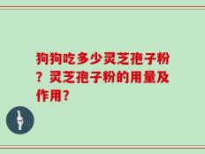 狗狗吃多少灵芝孢子粉？灵芝孢子粉的用量及作用？