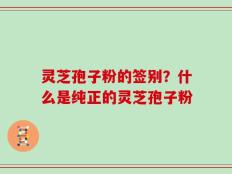 灵芝孢子粉的签别？什么是纯正的灵芝孢子粉