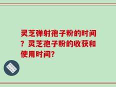 灵芝弹射孢子粉的时间？灵芝孢子粉的收获和使用时间？