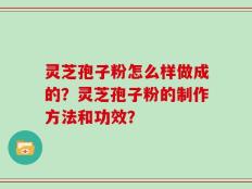灵芝孢子粉怎么样做成的？灵芝孢子粉的制作方法和功效？