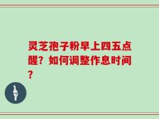 灵芝孢子粉早上四五点醒？如何调整作息时间？