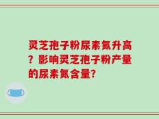 灵芝孢子粉尿素氮升高？影响灵芝孢子粉产量的尿素氮含量？