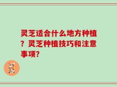 灵芝适合什么地方种植？灵芝种植技巧和注意事项？