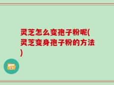 灵芝怎么变孢子粉呢(灵芝变身孢子粉的方法)