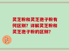 灵芝粉和灵芝孢子粉有何区别？详解灵芝粉和灵芝孢子粉的区别？