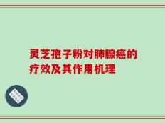 灵芝孢子粉对肺腺癌的疗效及其作用机理
