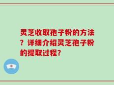 灵芝收取孢子粉的方法？详细介绍灵芝孢子粉的提取过程？