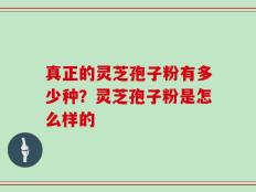 真正的灵芝孢子粉有多少种？灵芝孢子粉是怎么样的