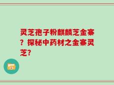灵芝孢子粉麒麟芝金寨？探秘中药材之金寨灵芝？