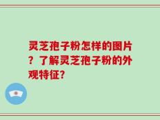 灵芝孢子粉怎样的图片？了解灵芝孢子粉的外观特征？