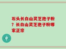 石头长白山灵芝孢子粉？长白山灵芝孢子粉哪家正宗