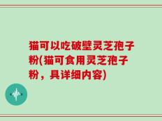 猫可以吃破壁灵芝孢子粉(猫可食用灵芝孢子粉，具详细内容)