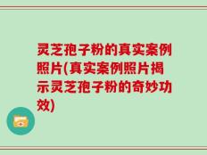灵芝孢子粉的真实案例照片(真实案例照片揭示灵芝孢子粉的奇妙功效)
