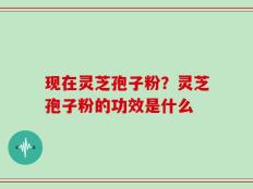 现在灵芝孢子粉？灵芝孢子粉的功效是什么