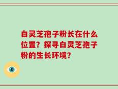 白灵芝孢子粉长在什么位置？探寻白灵芝孢子粉的生长环境？