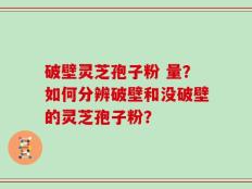 破壁灵芝孢子粉 量？如何分辨破壁和没破壁的灵芝孢子粉？