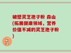 破壁灵芝孢子粉 森山(拓展健康领域，营养价值不减的灵芝孢子粉)