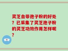 灵芝自带孢子粉的好处？已采集了灵芝孢子粉的灵芝功效作用怎样呢？
