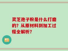 灵芝孢子粉是什么打磨的？从原材料到加工过程全解析？