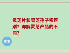 灵芝片和灵芝孢子粉区别？详解灵芝产品的不同？