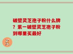 破壁灵芝孢子粉什么牌？紫一破壁灵芝孢子粉到哪里买最好