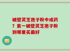 破壁灵芝孢子粉中成药？紫一破壁灵芝孢子粉到哪里买最好
