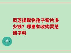 灵芝提取物孢子粉片多少钱？哪里有收购灵芝孢子粉