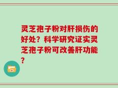 灵芝孢子粉对肝损伤的好处？科学研究证实灵芝孢子粉可改善肝功能？
