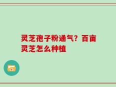 灵芝孢子粉通气？百亩灵芝怎么种植