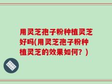用灵芝孢子粉种植灵芝好吗(用灵芝孢子粉种植灵芝的效果如何？)