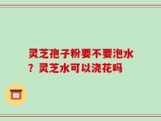 灵芝孢子粉要不要泡水？灵芝水可以浇花吗