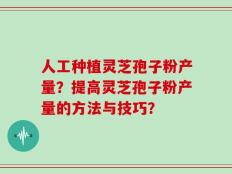 人工种植灵芝孢子粉产量？提高灵芝孢子粉产量的方法与技巧？
